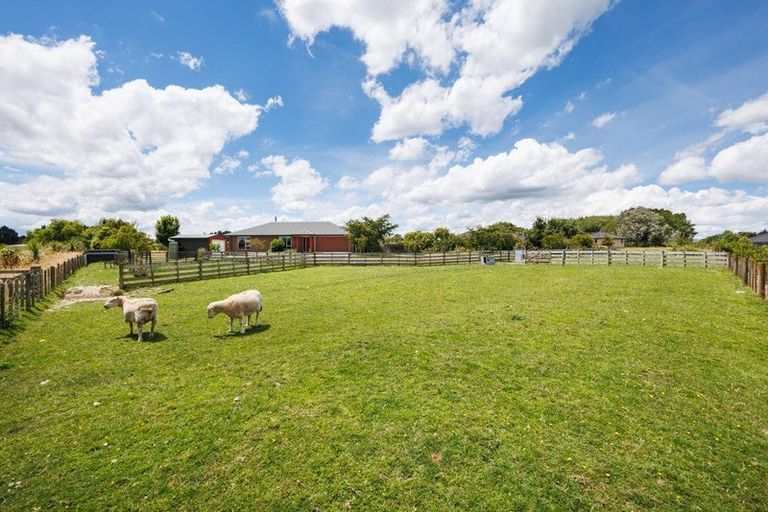 Photo of property in 169 Greer Court, Bunnythorpe, Palmerston North, 4481