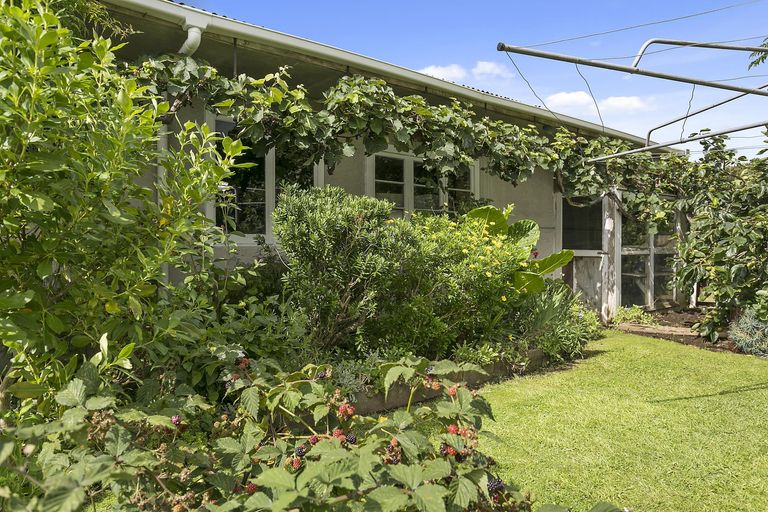 Photo of property in 48 Waharoa Road, Matamata, 3400