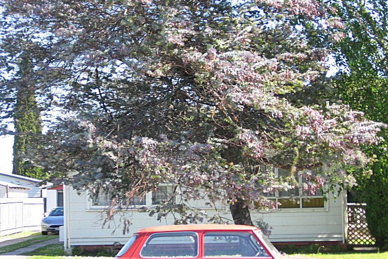 Photo of property in 326 Ormond Road, Riverdale, Gisborne, 4010