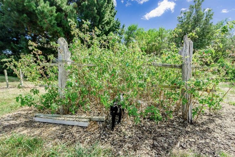 Photo of property in 17 Paetawa Road, Peka Peka, Waikanae, 5391