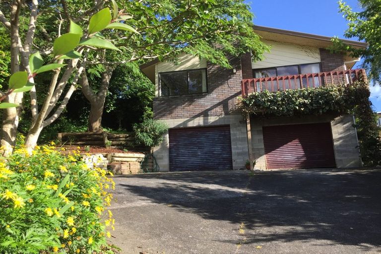 Photo of property in 49 Hazelwood Avenue, Dinsdale, Hamilton, 3204