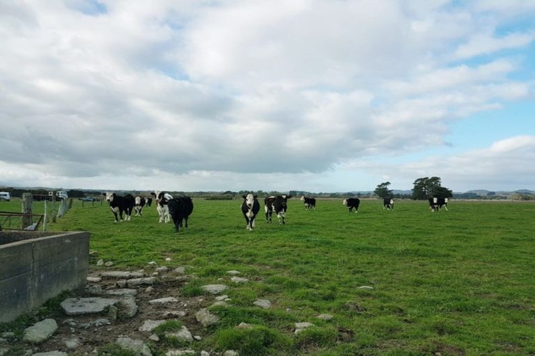 Photo of property in 221 Troup Road, Woodville, 4999