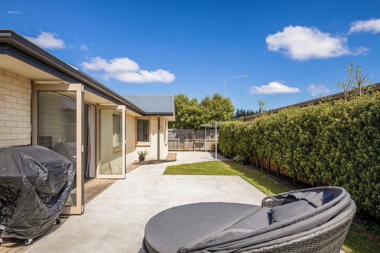 Photo of property in 41 Storer Street, Kaiapoi, 7630