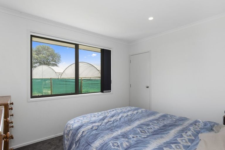 Photo of property in 149 Wilson Road South, Paengaroa, Te Puke, 3189