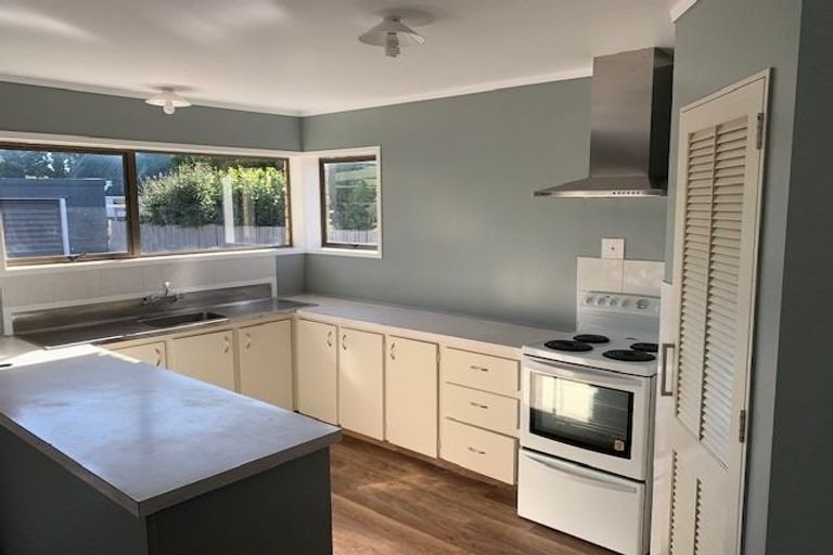 Photo of property in 41 Winstone Avenue, Chartwell, Hamilton, 3210