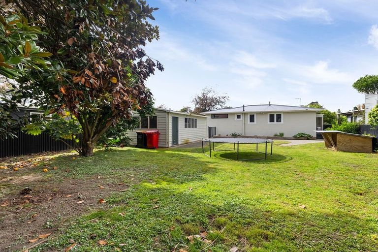 Photo of property in 17 Salisbury Avenue, Terrace End, Palmerston North, 4410