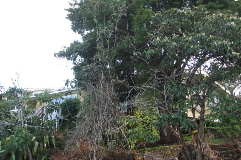 Photo of property in 45 Parrs Cross Road, Henderson, Auckland, 0612