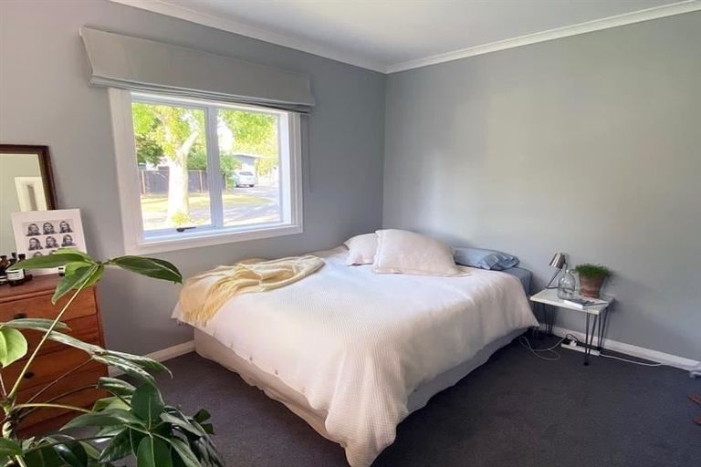 Photo of property in 305 Leo Street, Akina, Hastings, 4122