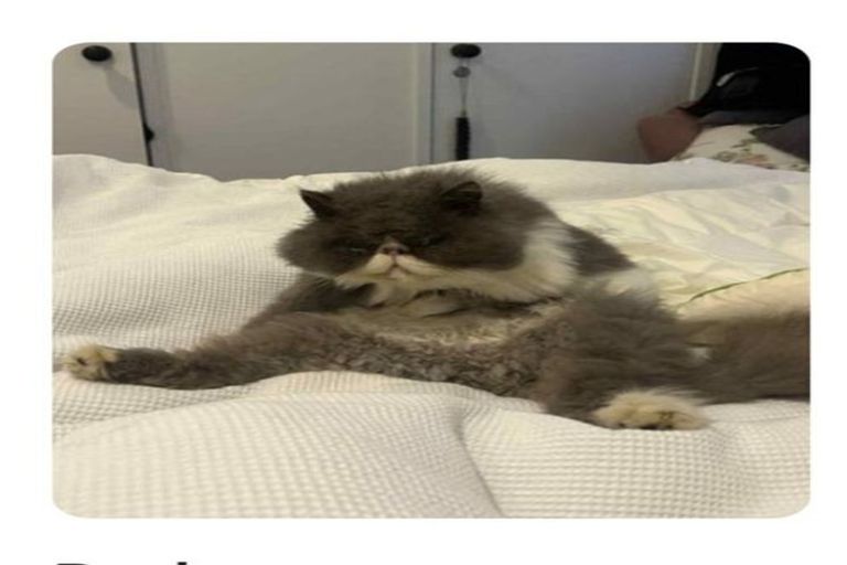 Photo of property in 2/30 Matipo Road, Mairangi Bay, Auckland, 0630