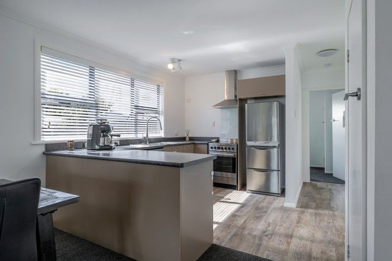 Photo of property in 486 Tremaine Avenue, Takaro, Palmerston North, 4410