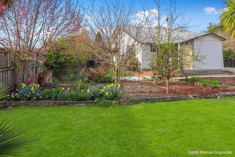Photo of property in 40 Lyndon Street, Waiau, 7332
