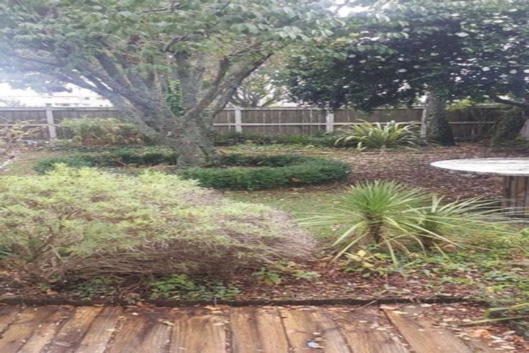 Photo of property in 84 Albert Street, Hamilton East, Hamilton, 3216