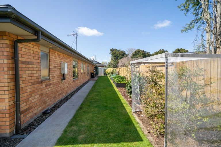 Photo of property in 81 Swayne Road, Cambridge, 3434