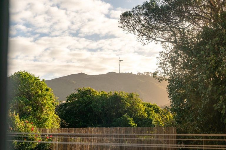 Photo of property in 44 Mills Road, Brooklyn, Wellington, 6021