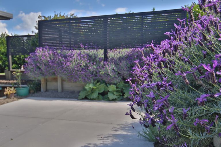 Photo of property in 3 Admiralty Drive, Haruru, 0204