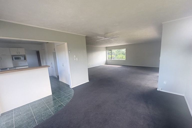 Photo of property in 14 Kaweka Place, Havelock North, 4130