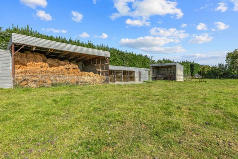 Photo of property in 146 Chatmos Road, Willowby, Ashburton, 7773