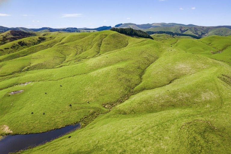 Photo of property in 390 North Road, North East Valley, Dunedin, 9010