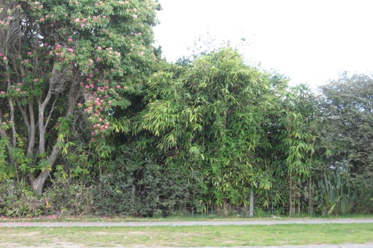 Photo of property in 10 Duncan Street, Taupo, 3330