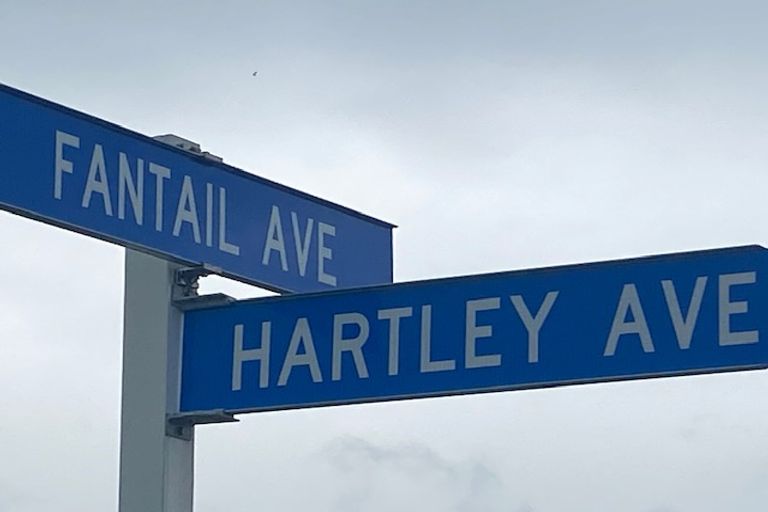 Photo of property in 2 Fantail Avenue, Carterton, 5713