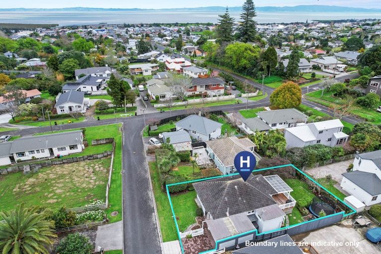 Photo of property in 105 Cook Street, Thames, 3500