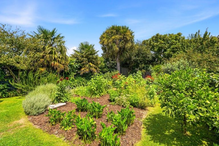 Photo of property in 85 Niblett Street, Whanganui, 4500