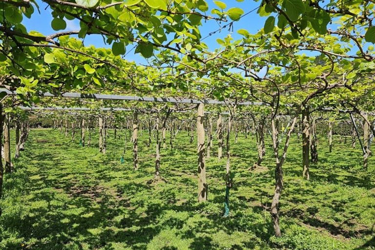 Photo of property in 566 Belk Road, Omanawa, Tauranga, 3171