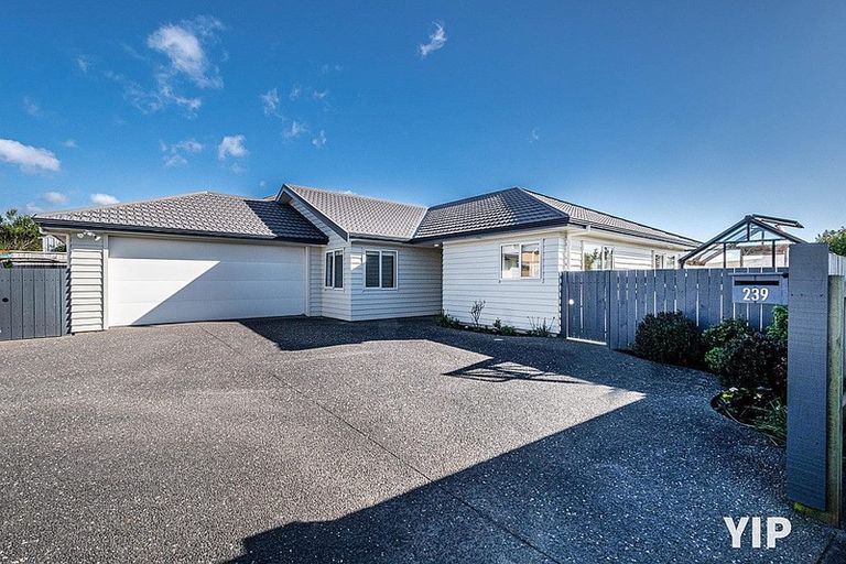 Photo of property in 239 Mark Avenue, Grenada Village, Wellington, 6037