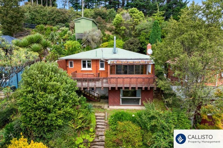 Photo of property in 213 Signal Hill Road, Opoho, Dunedin, 9010