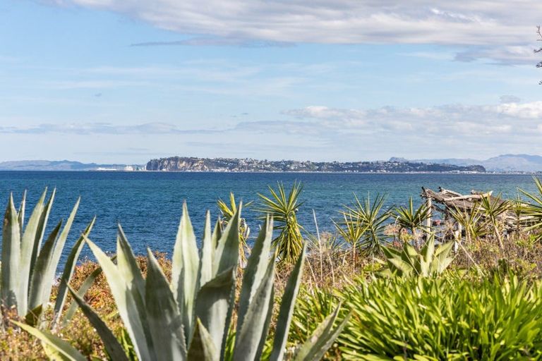 Photo of property in 238 Whirinaki Road, Eskdale, Napier, 4182