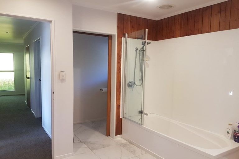 Photo of property in 24 Jonathon Street, Brookfield, Tauranga, 3110