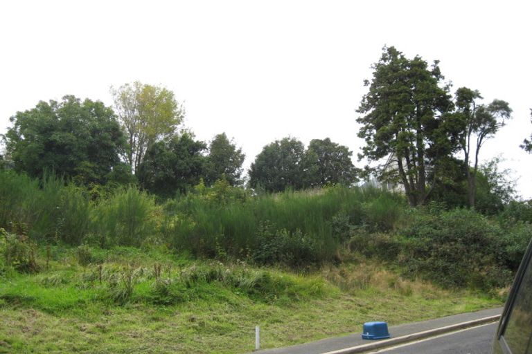 Photo of property in 7 Lindsay Road, Caversham, Dunedin, 9011