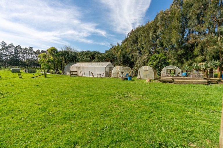 Photo of property in 48 Elizabeth Street, Waikanae, 5036
