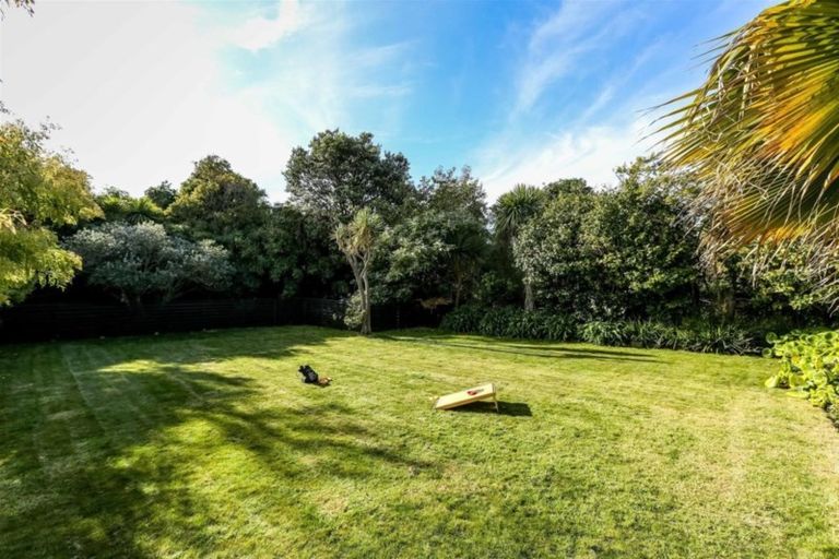 Photo of property in 8 Gaine Street, New Plymouth, 4310