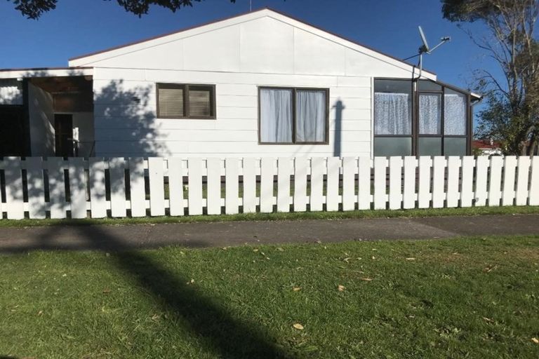 Photo of property in 26 Princes Street, Levin, 5510