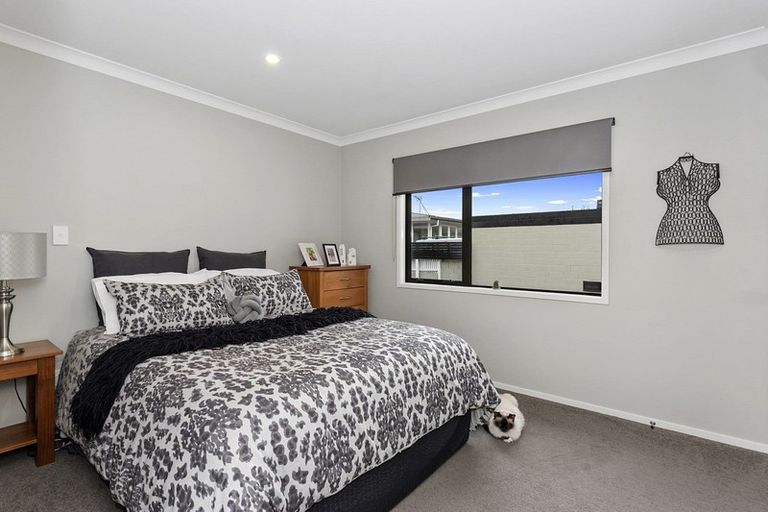 Photo of property in 137a Clarkin Road, Fairfield, Hamilton, 3214