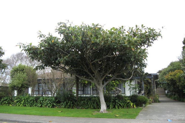 Photo of property in 11 Collison Terrace, Haumoana, 4102