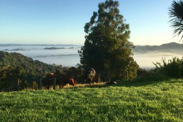 Photo of property in 559 Mount Tiger Road, Whareora, Onerahi, 0192