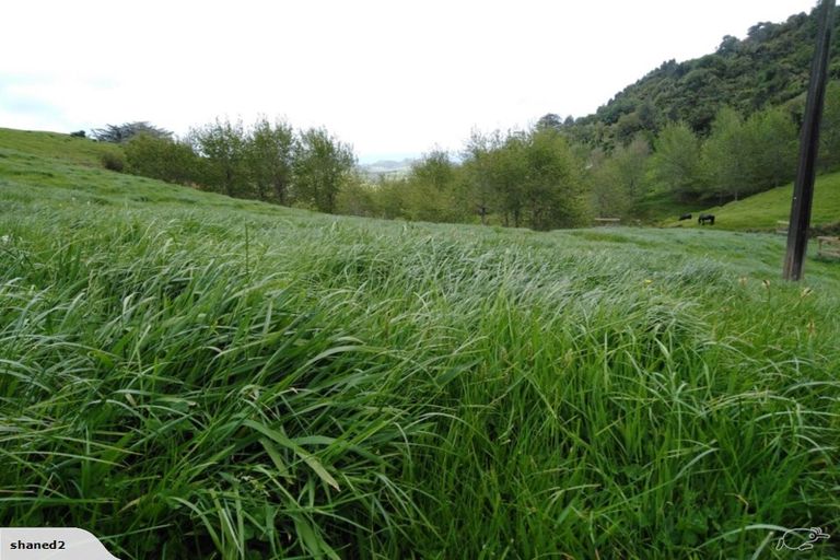 Photo of property in 225 Ngatitangata Road, Waihi, 3681