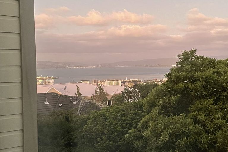 Photo of property in 29 Tanera Crescent, Brooklyn, Wellington, 6021