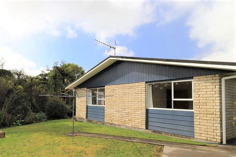 Photo of property in 20a Oberon Street, Stratford, 4332