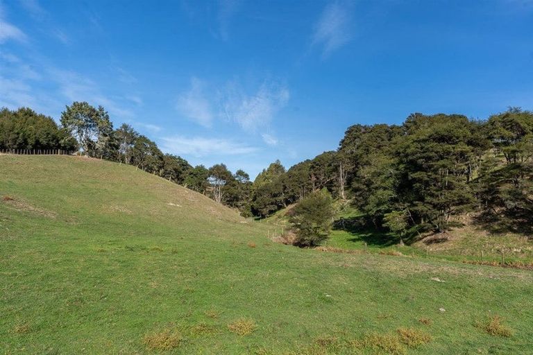 Photo of property in 305 Waingaro Road, Ngaruawahia, 3793