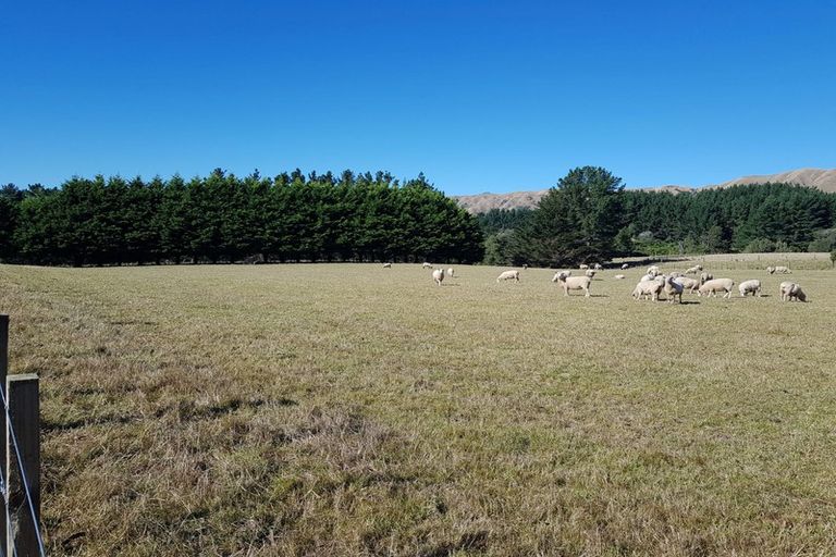 Photo of property in 210 Potts Road, Koputaroa, Levin, 5571