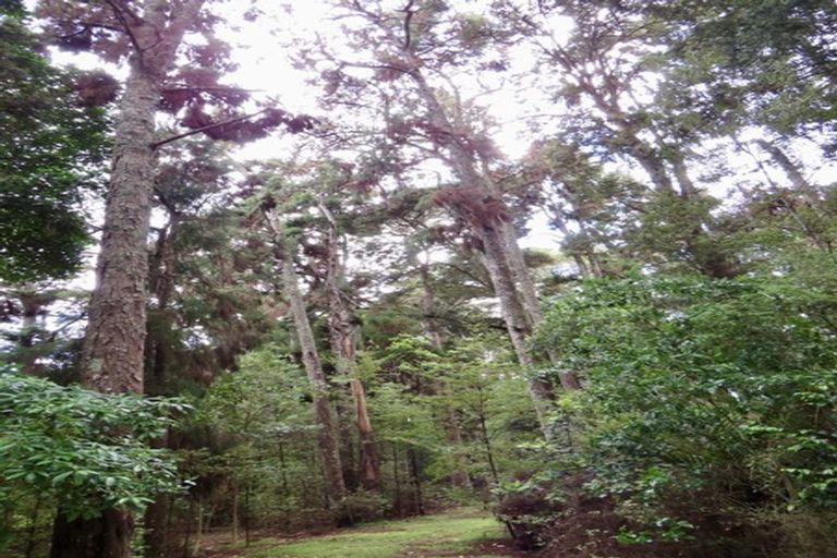 Photo of property in 504b Wairere Road, Maungaturoto, 0571