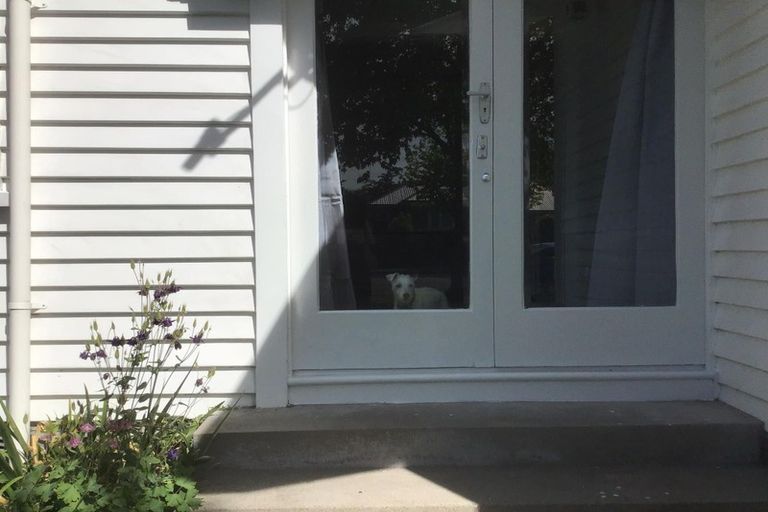 Photo of property in 46 Tomes Road, St Albans, Christchurch, 8052