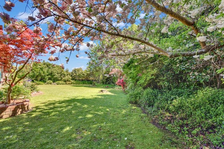 Photo of property in 11 Parkerfield Place, Motueka, 7120