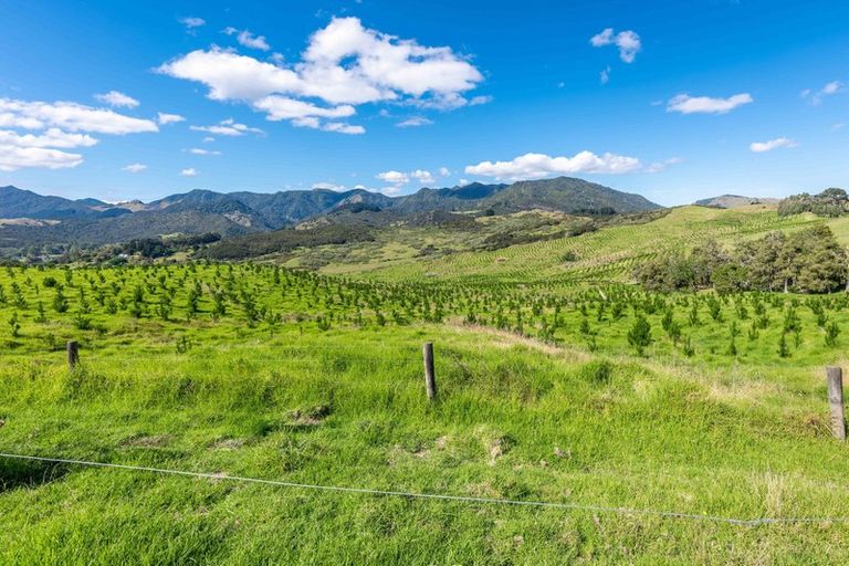 Photo of property in 183 Koutu Loop Road, Whirinaki, 0473