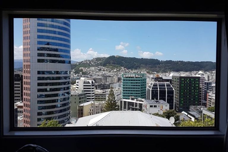 Photo of property in 223c The Terrace, Wellington Central, Wellington, 6011