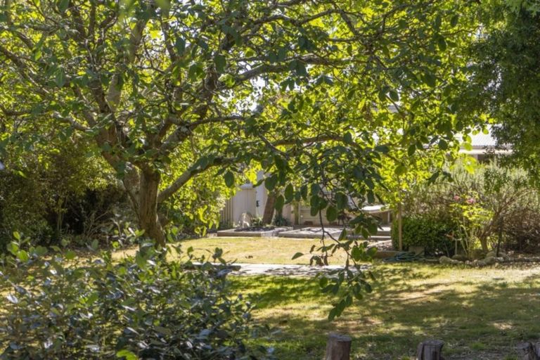 Photo of property in 10 Daniel Street, Martinborough, 5711