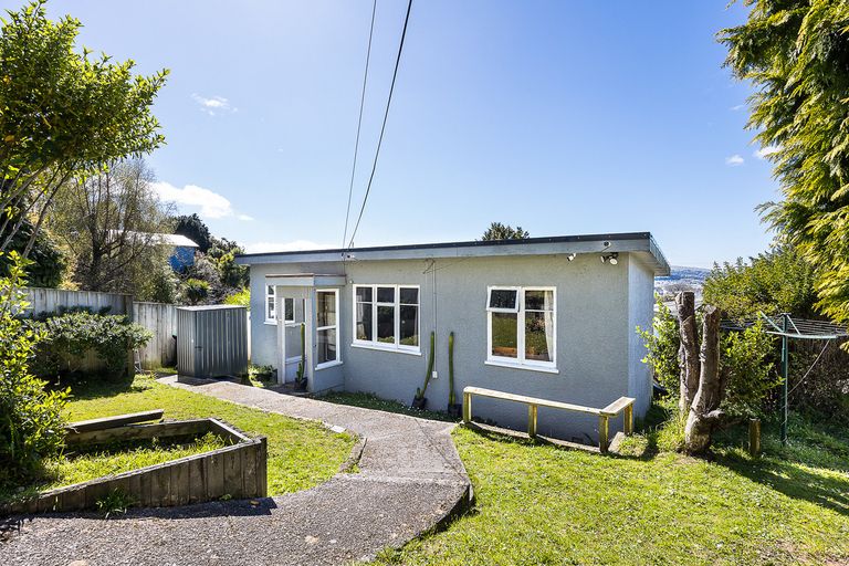 Photo of property in 51b Peter Street, Caversham, Dunedin, 9012